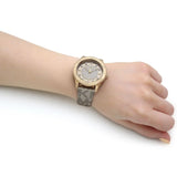  Shop Authentic Michael Kors Runway Three Hand Quartz Gold Dial Brown Leather Strap Watch For Women - MK6999 - Luxxuri