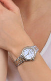  Shop Authentic Emporio Armani Mia Quartz Mother of Pearl Dial Two Tone Steel Strap Watch For Women - AR11524 - Luxxuri