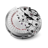  Shop Authentic Omega Planet Ocean 6000M Co Axial Master Chronometer 45.5mm White Dial Black Rubber Strap Watch for Men - 21532462104001 - Luxxuri