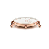  Shop Authentic Daniel Wellington Classic Petite Cornwall White Dial Green NATO Strap Watch For Women - DW00100253 - Luxxuri