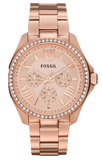  Shop Authentic Fossil Cecile Rose Gold Dial Rose Gold Steel Strap Watch for Women - AM4483 - Luxxuri