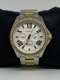  Shop Authentic Fossil Cecile White Dial Two Tone Steel Strap Watch for Women - AM4543 - Luxxuri