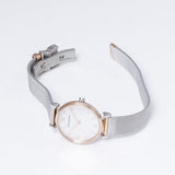  Shop Authentic Emporio Armani Retro Mother of Pearl Dial Silver Mesh Bracelet Watch For Women - AR2067 - Luxxuri