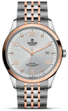  Shop Authentic Tudor 1926 Automatic Diamonds Silver Dial Two Tone Steel Strap Watch for Men - M91651-0002 - Luxxuri