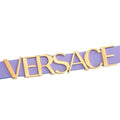  Shop Authentic Versace V-Flare Silver Dial Purple Leather Strap Watch for Women - VEBN00318 - Luxxuri