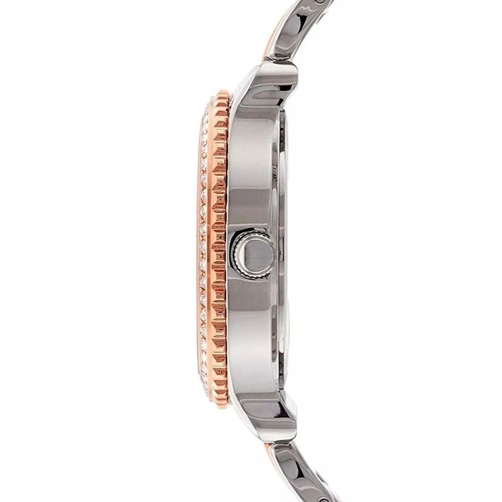  Shop Authentic Guess Enchanting Diamonds Silver Dial Two Tone Steel Strap Watch for Women - W0305L3 - Luxxuri